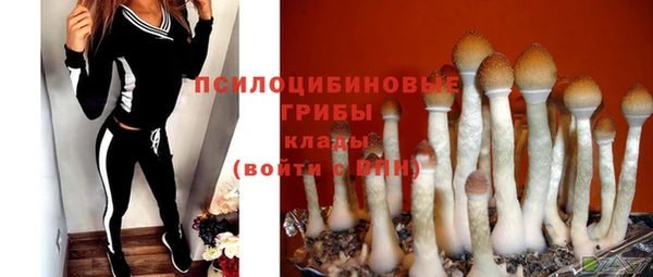 твердый Протвино