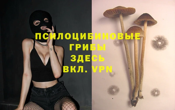 спиды Зеленокумск