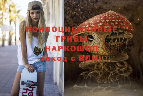 спиды Зеленокумск