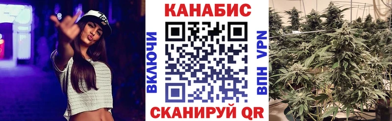 сколько стоит Зуевка Конопля THC 21%